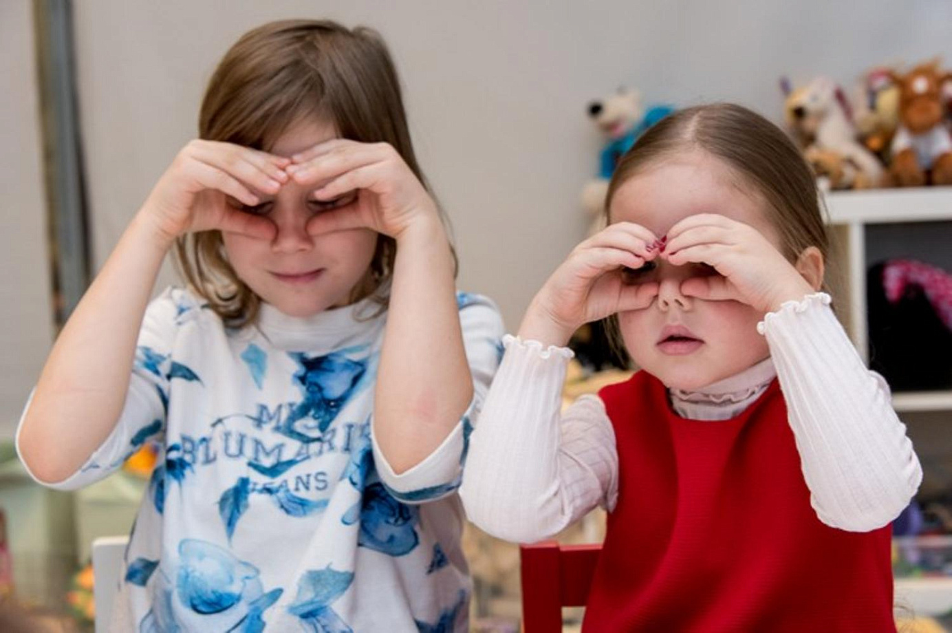 Развивающая программа «У ребенка 100 языков». 5-6 лет