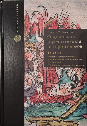 Социальная и религиозная история евреев, Том VIII. Раннее Средневековье (500-1200) : гражданин, или чудой и колдун