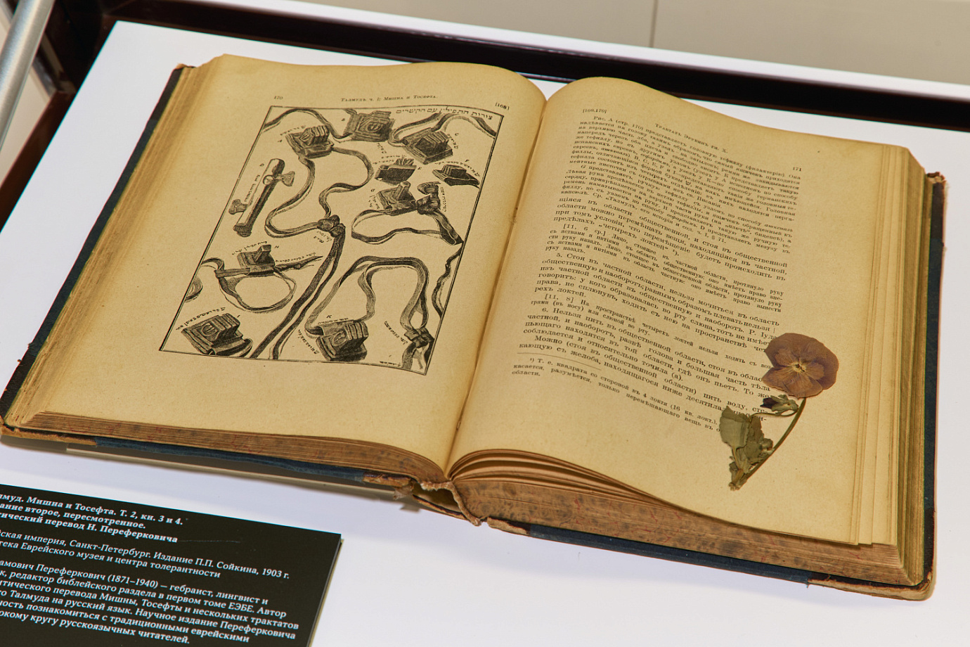 Fellowship competition for museum employees and young researchers
